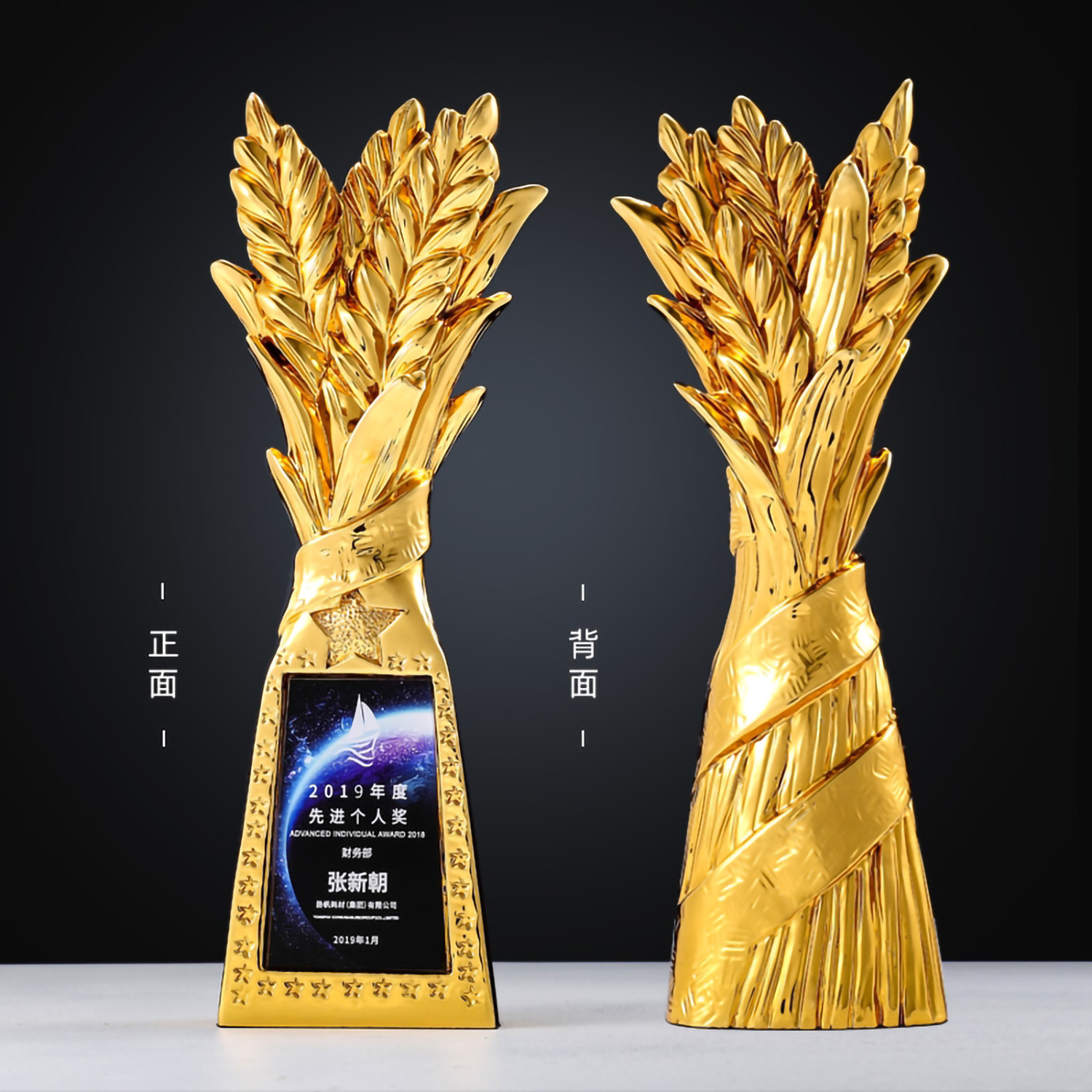 荣誉麦穗炫彩树脂奖杯(图2)