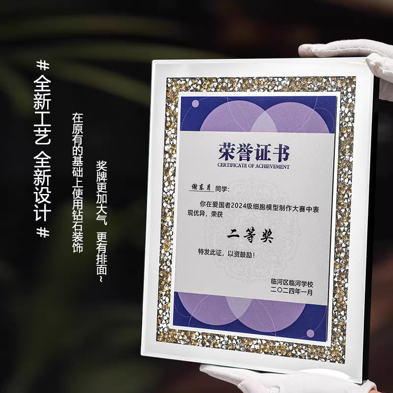 818钻石镜面奖牌(图4)