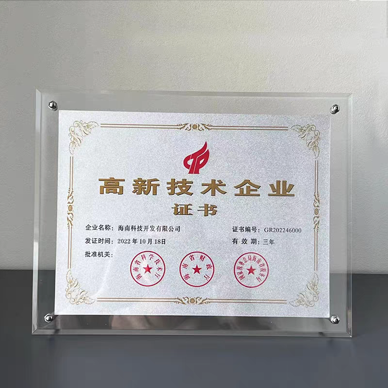 1701大号广告钉金箔奖牌(图6)
